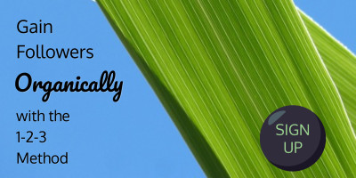 Gain followers organically