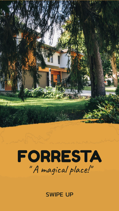 Forresta - A magical place